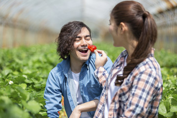 イチゴ狩りをするカップル