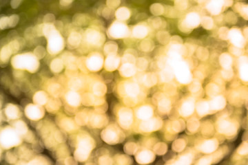 The background of the surface or wallpaper Bokeh.