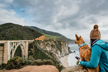 Bixby Bridge California Dog Girl - 204474191