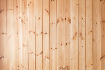Wooden background of unpainted vertical strips.