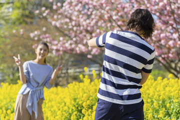 Fototapeta premium 菜の花畑の男女