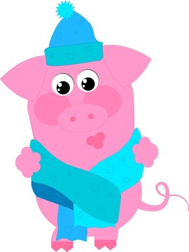 Розовая свинка в голубом шарфе на белом фоне