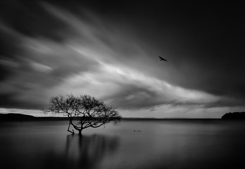 Storm over Salamander Bay