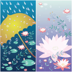 lotus flower and rain background