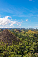 Fototapeta premium Bohol, Philippines
