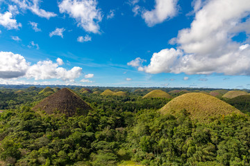 Fototapeta premium Bohol, Philippines