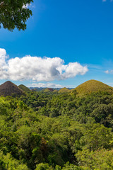 Fototapeta premium Bohol, Philippines