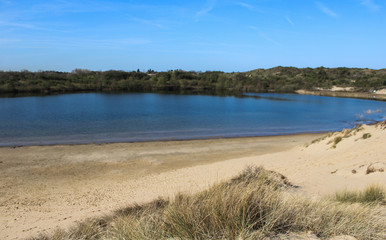 Fototapeta na wymiar landscape dunes with lake, national park kennemerland, in the Netherland, during spring