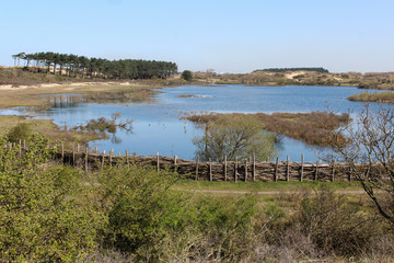 landscape dunes with lake, national park kennemerland, in the Netherland, during spring