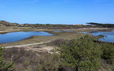 landscape dunes with lake, national park kennemerland, in the Netherland, during spring
