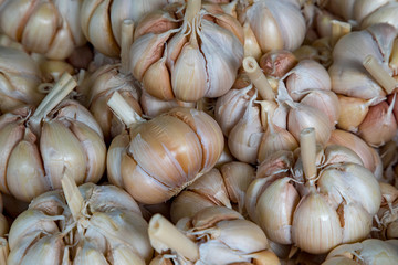 Ho Chi Minh City.Vietnam