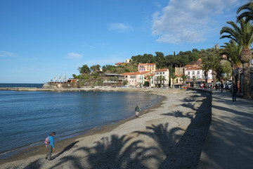 Collioure city, Langedoc-Roussillon, France