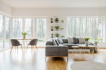 Plants in natural apartment interior