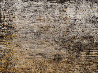 wood grungy background with space for your design
