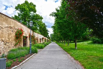 Fototapeta na wymiar Romantic alley from Vyšehrad