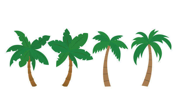 Set of vector palm illustrations, isolated - Flat design