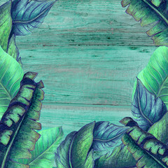 Textured tropical banner