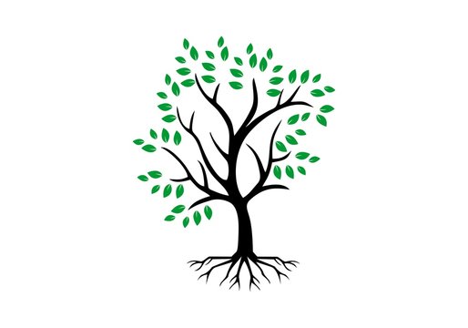 Tree root logo