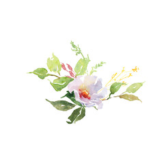 Wedding bridal bouquet. red and pink and green flowers ornament