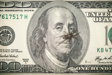 Spider sits on the nose of Benjamin Franklin, a Hundred dollars bill.