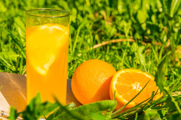 A glass of orange juice and sliced orange on a natural green background outdoors