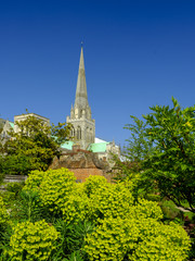 Spring afternoon sunshine on Chichester cathedral from Bishop's Palace Gardens, Chichester, West Sussex, UK