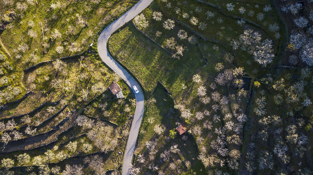 Aerial view of the landscape of the Jerte Valley