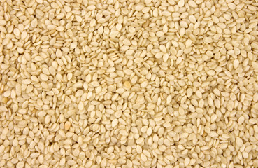 White sesame seeds background