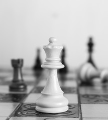 Scacchi fotografati su una scacchiera