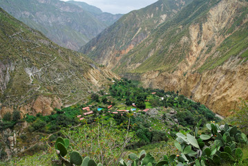 Colca Canyon in Arequipa Region Hiking Peru