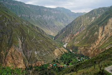 Fototapeta na wymiar Colca Canyon in Arequipa Region Hiking Peru