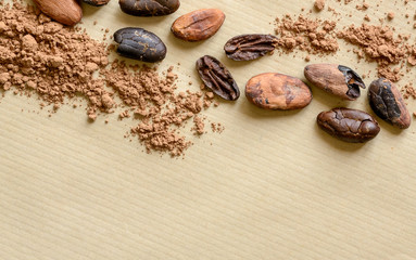 Cocoa beans with cacao powder