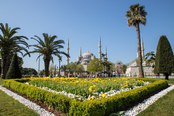 sultanahmet mosque