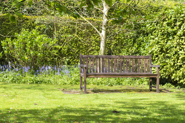 Lone garden bench set in a tranquil corner of a garden.