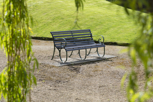 Lone garden bench seen through willow tree branches used as a frame.