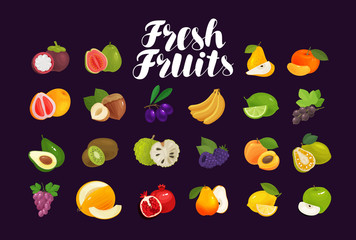 Fruits and berries, set of icons. Food, greengrocery, farm concept. Vector illustration
