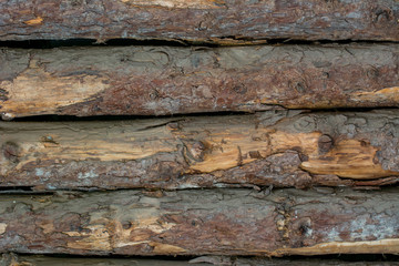 Holzwand aus Baumstämmen