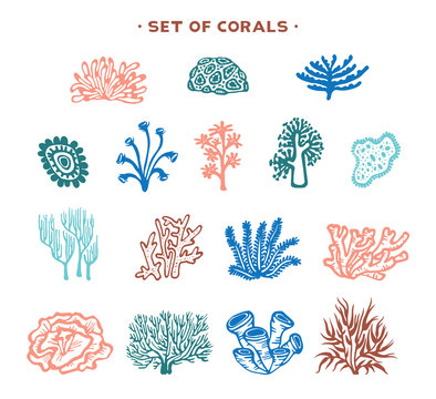 Set of vector corals.