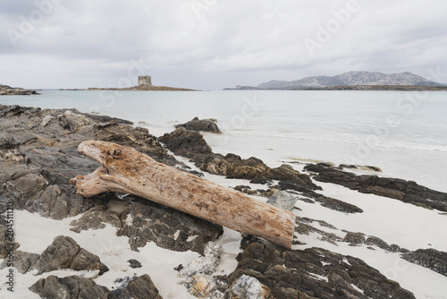 Search Photos Spiaggia Della Pelosa