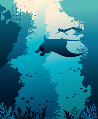 Vector illustration with mantas, freediver and corals.