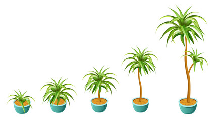 Fototapeta na wymiar Growing palm concept. Set to computer games. Isolated vector illustration.