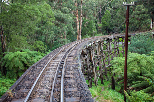 The iconic Pulling Billy Steam trestle bridge in the Dandenong Ranges on 27th April 2012