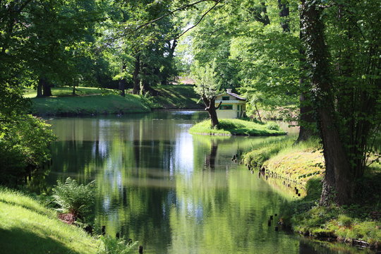 Teich im Park