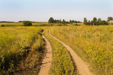 Dirt road across the meadow
