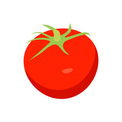 Bright Red Tomato Closeup Card Vector Illustration