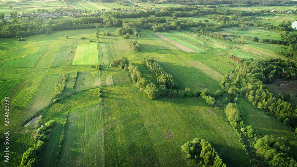 Wall mural aerial shot from the drone - spring fields - Wall murals