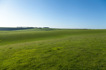 Fototapeta na wymiar Green Panorama