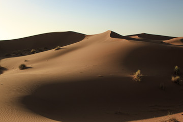 Fototapeta na wymiar Sunset over the sand dunes in the Sahara desert, Morocco, Africa.