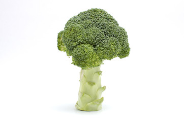 Fresh broccoli on white background