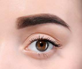 Fototapeta premium Beautiful woman with perfect eyebrows on light background, closeup